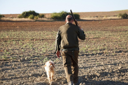 Un cazador de la localidad zamorana de Entrala durante el inicio de la media veda de caza en Castilla y León