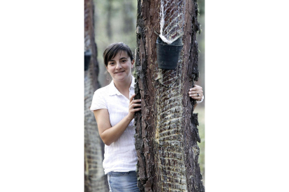 Ángela Blázquez, en un bosque de pinos resineros sorianos.-LUIS ÁNGEL TEJEDOR