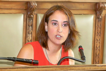 La portavoz del Grupo provincial de Ciudadanos en la Diputación, Pilar Vicente.-J.M. LOSTAU