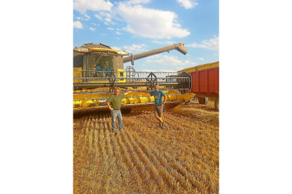 Eduardo y Andrés Pérez, padre e hijo, en una pausa de la cosecha esta semana en Dueñas (Palencia).-E.M.