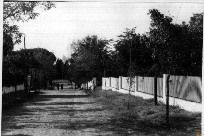 Una de las calles de la urbanización del Pinar de Antequera en los años 70.- ARCHIVO MUNICIPAL VALLADOLID