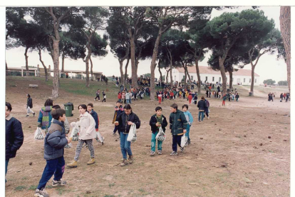Un grupo de escolares participan en la plantación de árboles en el Pinar de Antequera en 1998.- ARCHIVO MUNICIPAL VALLADOLID