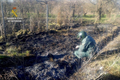 Investigados 17 incendios forestales en la provincia de León.-GUARDIA CIVIL