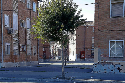 Barrio de Las Viudas, en el que se produjeron los disparos-J. M. LOSTAU