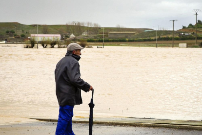 Un hombre observa la inundación de los campos de Mayorga, provocada por el río Cea.-ICAL