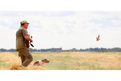 Un cazador y un perro localizan a una codorniz. ICAL