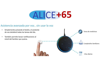 Alice65