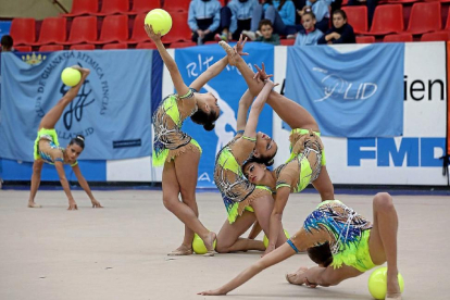 Varias gimnastas realizan una prueba de pelota durante el pasado Torneo Nacional disputado en Pisuerga.-José C. Castillo