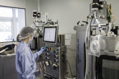 Una investigadora en las instalaciones del laboratorio mAbxience en el Parque Tecnológico de León.-EL MUNDO