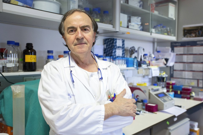Marcos González, jefe de Hematología en el Hospital Clínico Universitario de Salamanca. EL MUNDO