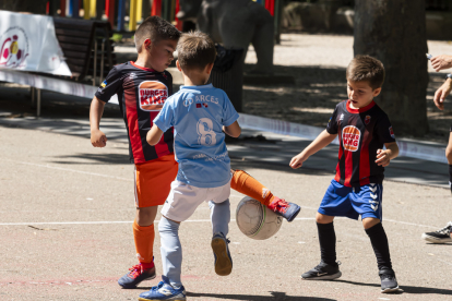 Jornada de debutantes de la RFCyLF en Valladolid. / PHOTOGENIC