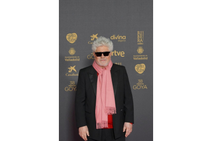 Pedro Almodóvar en la alfombra roja de la 38 edición de los Premios Goya. -ICAL