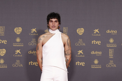 'La Dani' en la alfombra roja de la 38 edición de los Premios Goya. -PREMIOS GOYA