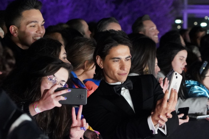 El actor David Verdaguer en la alfombra roja de la 38 edición de los Premios Goya. -ICAL