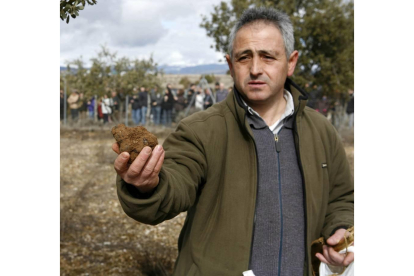 Ejemplar de trufa negra recogida en una finca de la localidad soriana de Abejar-Ical