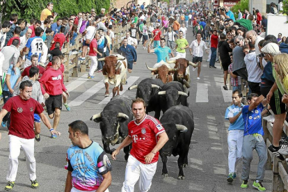 Varios corredores delante de los toros durante un encierro celebrado en Íscar el pasado mes de agosto-J.M.Lostau