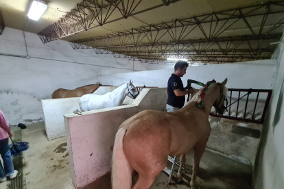 Estado de la plaza de Toros tras la lluvia. JOSÉ SALVADOR