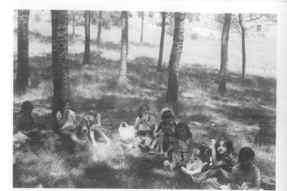 Niños del colegio del Pilar en el pinar del barrio Cañada Real.- ASOCIACIÓN DE VECINOS POETA JOSÉ ZORRILLA