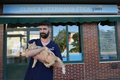 Carretera de Rueda, Raúl Juanes de la clínica veterinaria Scooby.- J.M. LOSTAU
