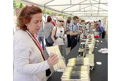 Visitantes de una anterior edición de la Feria del Espárrago de Tudela de Duero examinan el producto.-J.M. LOSTAU