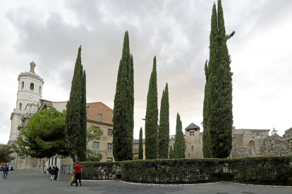 Patio de los cipreses, zona que se abrirá al público tras las reformas en la catedral. J.M. LOSTAU