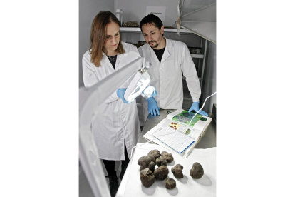Roberto Antón y Blanca López, en su laboratorio de Espora Gourmet.-MARIO TEJEDOR