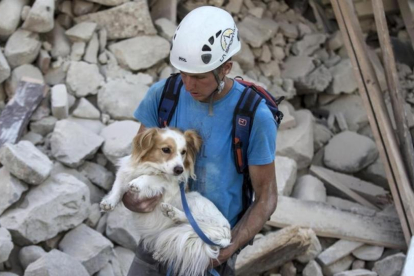 Un voluntario salva a un perro durante los trabajos de rescate tras el terremoto en la localidad de Amatrice  en el centro de Italia.-MASSIMO PERCOSSI / EFE