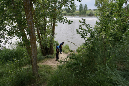Policía Local de Simancas (Valladolid) y Seprona vigilan la confluencia de los ríos Pisuerga y Duero en busca de un cocodrilo.-  ICAL