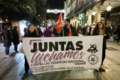 Foto de la manifestación con motivo del Día Internacional Contra la Violencia de Género. -PHOTOGENIC.