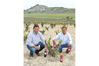 Los hermanos Carlos y Pablo González con botellas de su marca, Mucy, en el pago Camino del Monte.-EL MUNDO