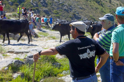 Ganaderos contemplan el paso de la manada durante una jornada de trashumancia de la raza avileña-negra ibérica, poco antes de la llegada del ganado a los descansaderos del puerto de El Pico, en Ávila.-ICAL
