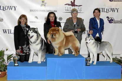 Uno de los podios caninos de los concursos celebrados en la edición de Fimascota del año anterior-Montse Álvarez