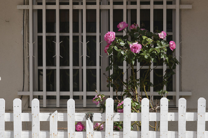 Detalle de una ventana con rosas en la calle Margarita. J. M. LOSTAU
