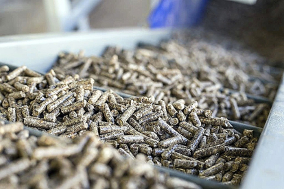 Producción de ‘pellets’ en la provincia de Segovia.  ICAL