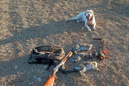 Una escopeta y un perro de caza junto a munición y varias piezas capturadas.-LEONARDO DE LA FUENTE