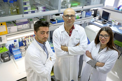 Alberto Valenzuela, Eladio Velasco y Eugenia Fraile en las instalaciones del Instituto de Biología y Genética Molecular de Valladolid.-MIGUEL ÁNGEL SANTOS