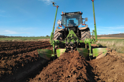 Un agricultor trabaja con el tractor la tierra en la que se siembra la patata.- ECB