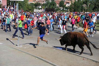 Encierro del Toro de la Vega.-ICAL