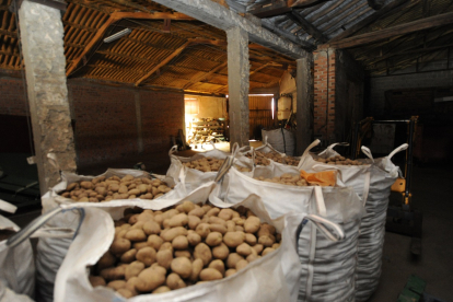 Almacén de patatas de la cooperativa Santa Isabel situado en la localidad burgalesa de Villaescobedo (Valle de Valdelucio). ISRAEL L. MURILLO