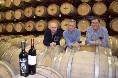 De izda. a dcha.: Martín Padín, Santos Calvo y Alfonso Garcés, en la nave de barricas de la bodega y dos de sus vinos más representativos.-ARGICOMUNICACIÓN