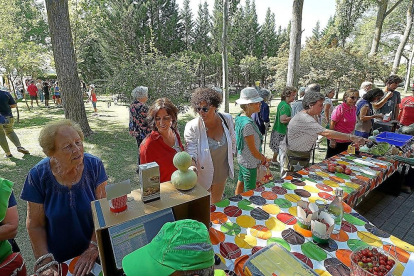 Los voluntarios participan en el Mercadillo Ecológico y Solidario de INEA con productos elaborados en sus huertos.-E.M.