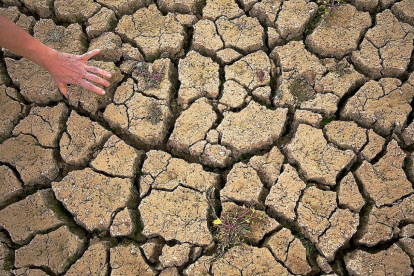 Efectos de la sequía en una tierra de cultivo. - E.M.
