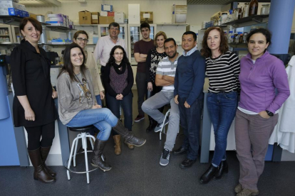 Equipo dirigido por Enrique Monte en las instalaciones del Instituto Hispano Luso de Investigaciones Agrarias (Ciale).-ENRIQUE CARRASCAL