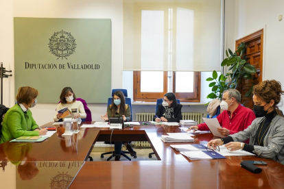 El jurado de Premio Ecoempleo 2021 presidido por la vicepresidenta segunda de la Diputación de Valladolid, Gema Gómez.- E. M.