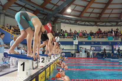 Imagen de los Campeonatos de España Universitarios en la modalidad de natación. / M. G. EGEA