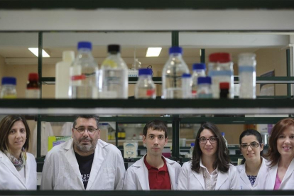Investigadores de la Unidad de Toxicología en las instalaciones de la Universidad de Salamanca.-ENRIQUE CARRASCAL