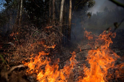 Los incendios forestales suponen una amenaza constante de vulneración de derechos humanos.-EFE