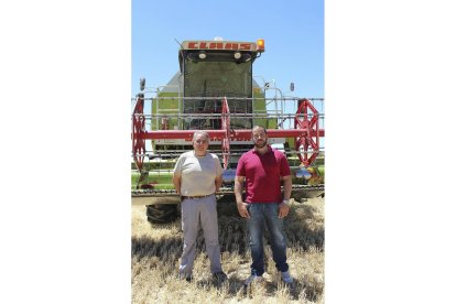 Baldomero y Jorge, padre e hijo, en plenas labores de cosecha en su explotación de Fresno El Viejo-M. C.