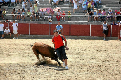 Un joven pasa por delante del toro en la localidad de Pollos.-EL MUNDO