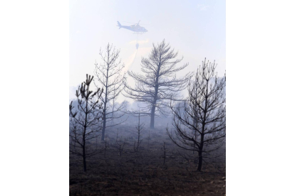 Incendio forestal en Camposagrado (León)-Ical